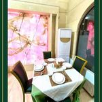 تورهای زیارتی و سیاحتیمیثم فرقانی