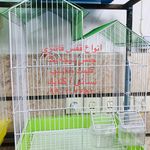 پرنده سرای نسائی