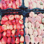 فروشگاه اینترنتی سنسی کالا