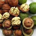 گردو طبیعی تبریز