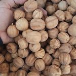 بازرگانی و عطاری صفرزاده