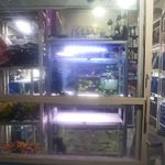 آکواریوم ونیز