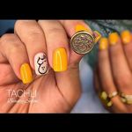 آرایشگاه زنانه تاچلی