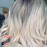 خدمات تخصصی ساحل جاوید
