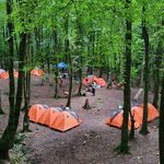 رزرو تفریح و تور