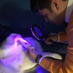 کلینیک دامپزشکی و پت شاپ گیلانا