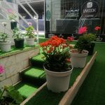 آموزشگاه موسیقی لا کوک