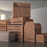 باربری طلایی