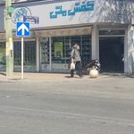 کفش ملی