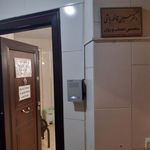 دکتر سید حسین قافله باشی