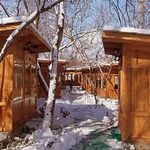 رستوران مروارید