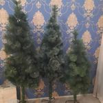 آتلیه تیک شات