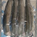 ماهی فروشی برکه