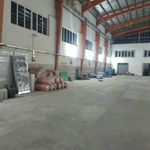 محمدجعفر بروانی