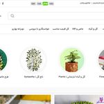 گل فروشی آنلاین انگور