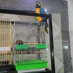 پرنده سرای نوید
