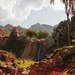 پارک جنگلی و آبشار شقایق