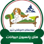 بیمارستان دامپزشکی شبانه روزی درین