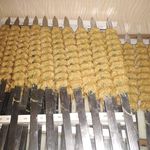 بیرون بر نمونه پارمیس
