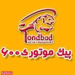 پیک موتوری 600