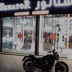 سناتور