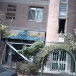 آکواریوم ریو نگرو