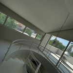 علی محمد شریفی