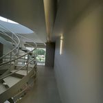 علی محمد شریفی