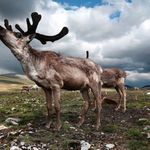 منطقه حفاظت گردیده ملوسان