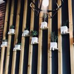 پیتزا تنوری پاروت