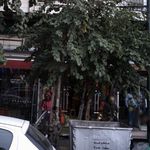 پوشاک