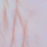 گل آرایی و بادکنک آرایی تیام دیزاین
