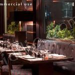 رستوران فرنگی رمان 