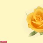 دکتر صدقدار و مدرسی