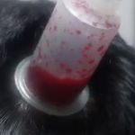 کلینیک طب سنتی خانه سلامت