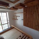 امیرعلی معصومی