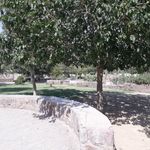 بوستان دانش آموز