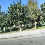 بوستان دانش آموز