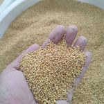 ملزومات حیوانات خانگی حقی (پتشاپ)