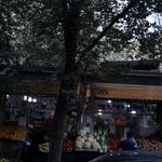 بازار میوه و تره بار محبوب مجاز