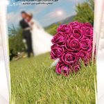 آتلیه و تشریفات داودی (پارمیدا)