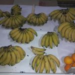 سوپر میوه ۲۰