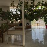 رستوران ولیعصر مشکنان