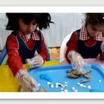 مهد و پیش دبستانی پرستوهای شاد دوزبانه۴⭐