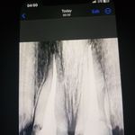دندانپزشکی دکتر راحله مدانلو