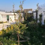 زمینهای هکتاری و باغی در آسمان املاک