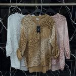 فروشگاه ورزشی تی تی اسپرت