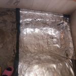 عباس اذرینور