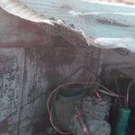 تاسیسات میلاد