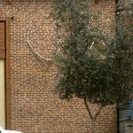 مصالح ساختمانی تاتاری